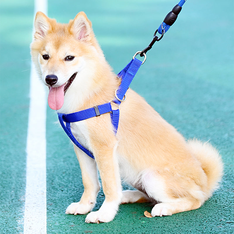 Heavy Duty Dog Harness