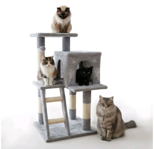 Cat Tree Tower with Ladder