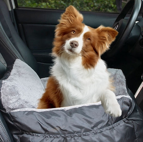 Car Pet Seat with Storage Pocket and Safety Leash